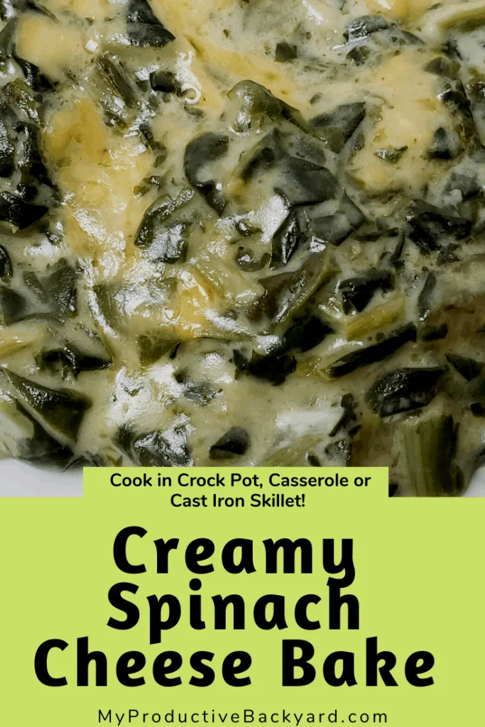 Creamy Spinach Cheese Bake Pinterest pin