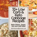 33 Low Carb Keto Cabbage Recipes Pinterest Pin