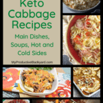 33 Low Carb Keto Cabbage Recipes Pinterest Pin