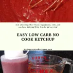 Easy Low Carb No Cook Ketchup Pinterest pin