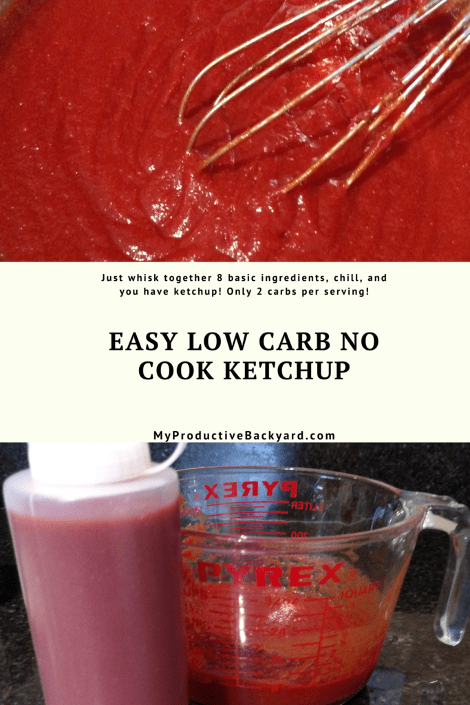 Easy Low Carb No Cook Ketchup My Productive Backyard