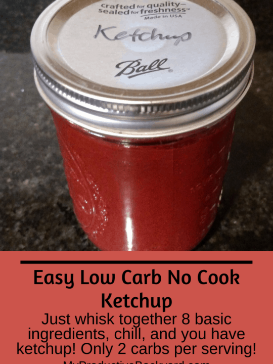 Easy Low Carb No Cook Ketchup Pinterest pin