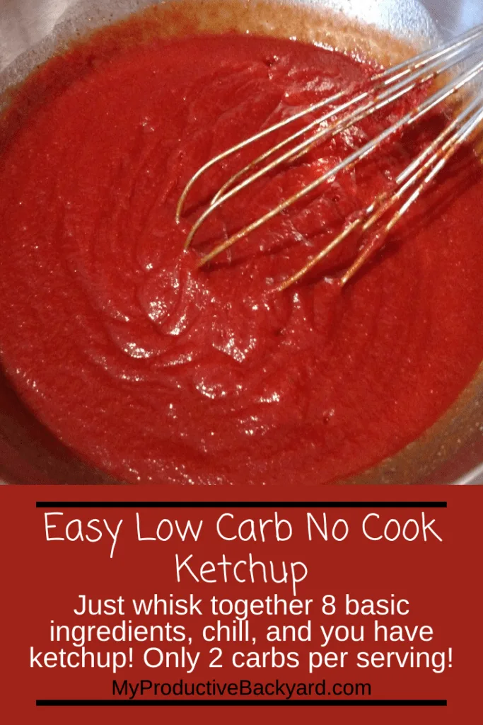 Easy Low Carb No Cook Ketchup Pinterest pin