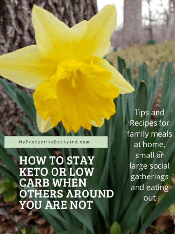 How to Stay Keto or Low Carb When Others Around You Are Not Pinterest pin