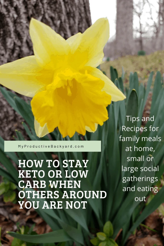 How to Stay Keto or Low Carb When Others Around You Are Not Pinterest pin