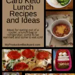Hundreds of Low Carb Keto Lunch Recipes and Ideas Pinterest pin