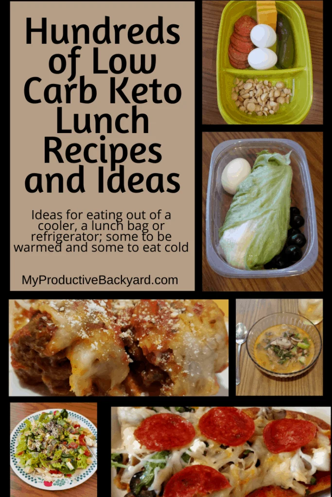 Hundreds of Low Carb Keto Lunch Recipes and Ideas Pinterest pin