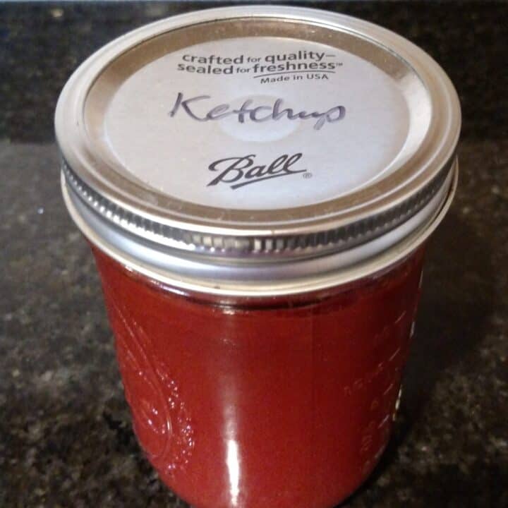 Easy Low Carb No Cook Ketchup