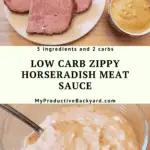 Low Carb Zippy Horseradish Meat Sauce Pinterest pin