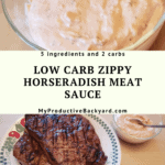 Low Carb Zippy Horseradish Meat Sauce Pinterest pin