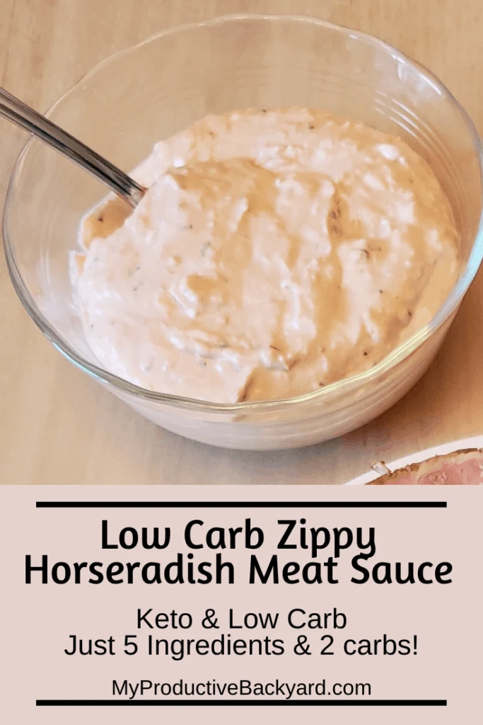 Low Carb Zippy Horseradish Meat Sauce Pinterest pin