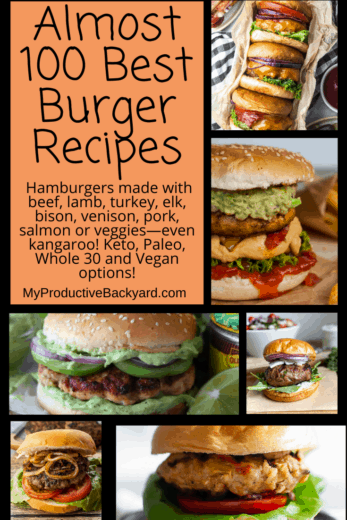 Over 100 Best Burger Recipes - My Productive Backyard