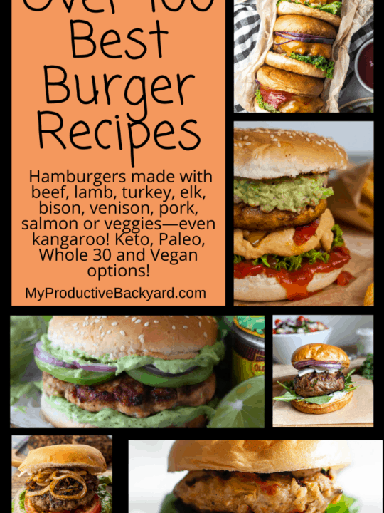 Over 100 Best Burger Recipes