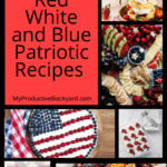Over 100 Red White and Blue Patriotic Recipes Pinterest Pin