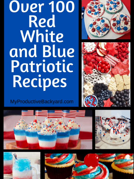 Over 100 Red White and Blue Patriotic Recipes