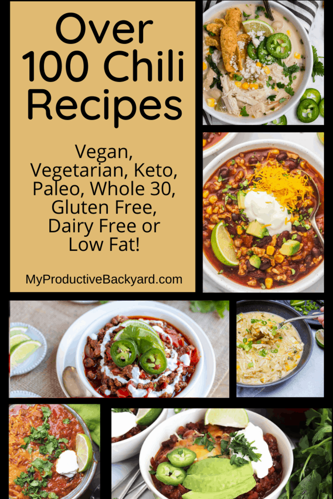 Over 100 Chili Recipes Pinterest pin