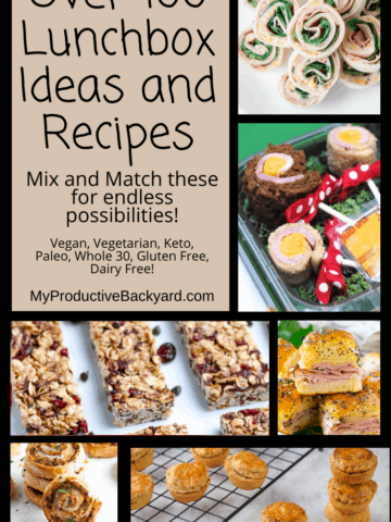 Over 100 Lunchbox Ideas and Recipes Pinterest Pin