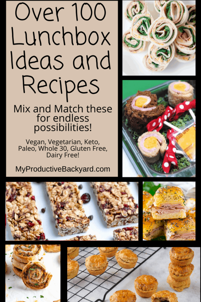 Over 100 Lunchbox Ideas and Recipes Pinterest Pin