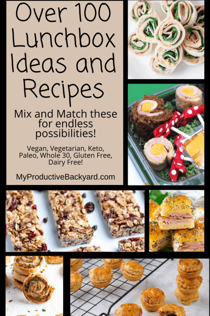 Over 100 Lunchbox Ideas and Recipes Pinterest Pin