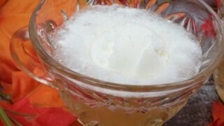 Low Carb Fall Punch