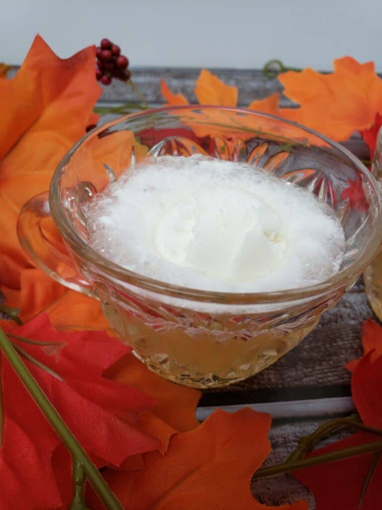 Low Carb Fall Punch