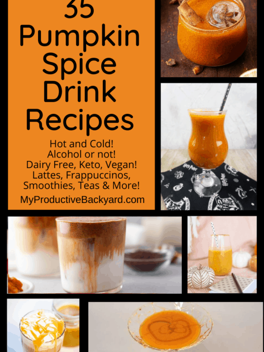 35 Pumpkin Spice Drink Recipes Pinterest Pin