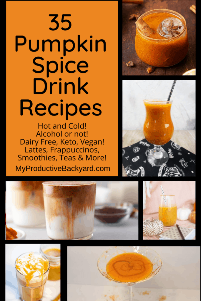 35 Pumpkin Spice Drink Recipes Pinterest Pin