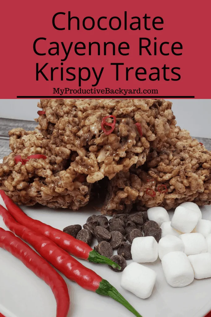 Chocolate Cayenne Rice Krispy Treats Pinterest pin