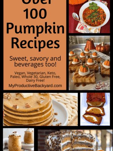 Over 100 Pumpkin Recipes Pinterest Pin