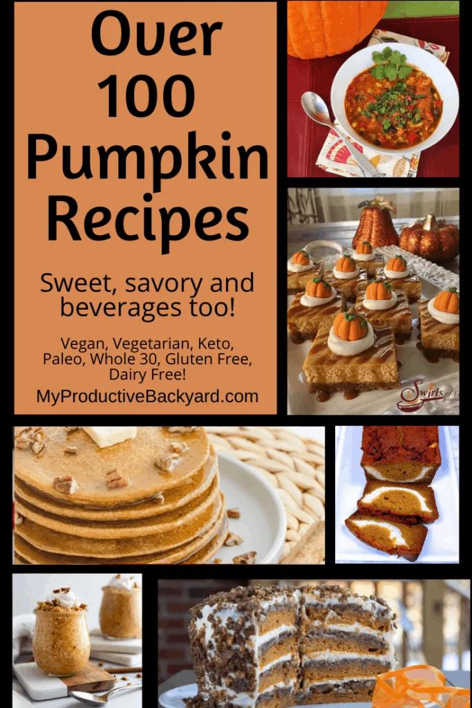 Over 100 Pumpkin Recipes Pinterest Pin