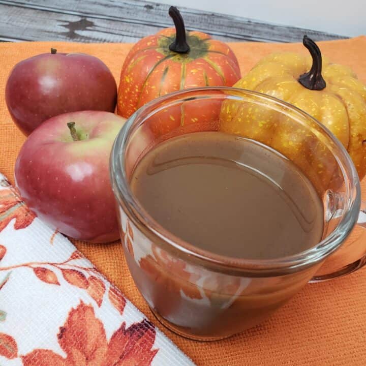 Slow Cooker Pumpkin Spice Apple Cider