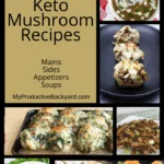 22 Low Carb Keto Mushroom Recipes Pinterest Pin