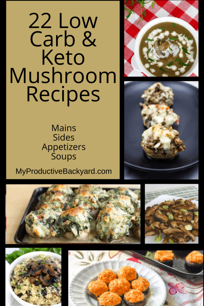 22 Low Carb Keto Mushroom Recipes - My Productive Backyard