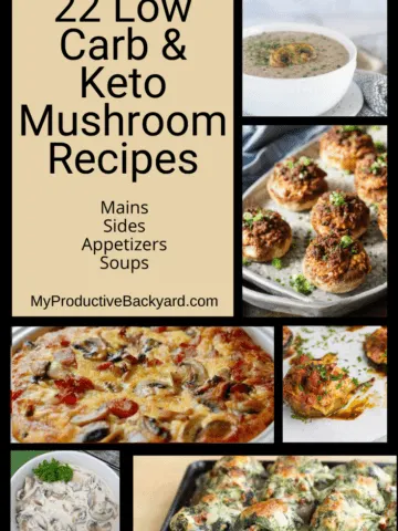 22 Low Carb Keto Mushroom Recipes Pinterest Pin