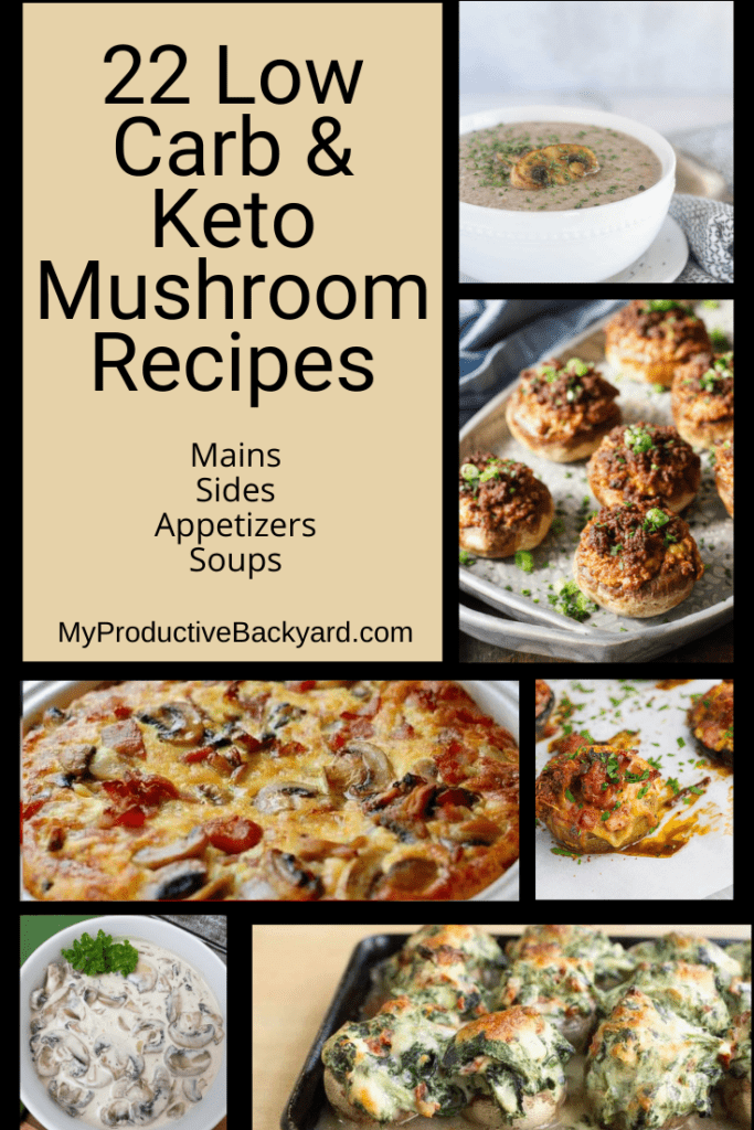 22 Low Carb Keto Mushroom Recipes Pinterest Pin