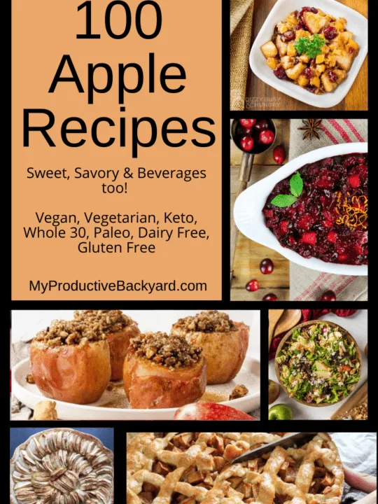 https://myproductivebackyard.com/wp-content/uploads/2021/11/100-Apple-Recipes-5-540x720.png.webp