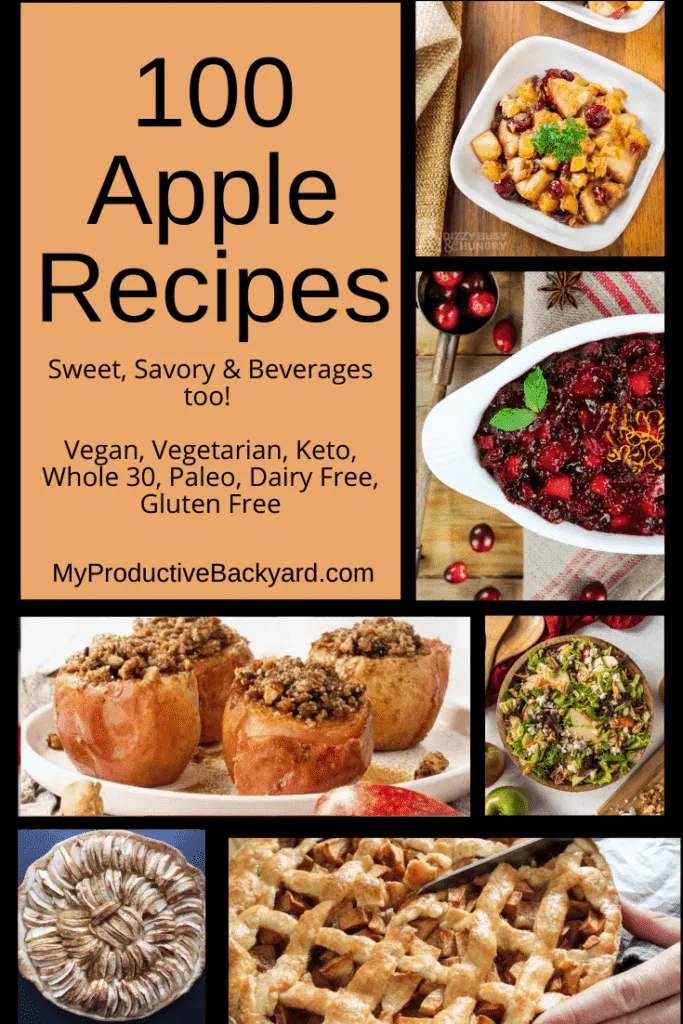 100 Apple Recipes Pinterest pin