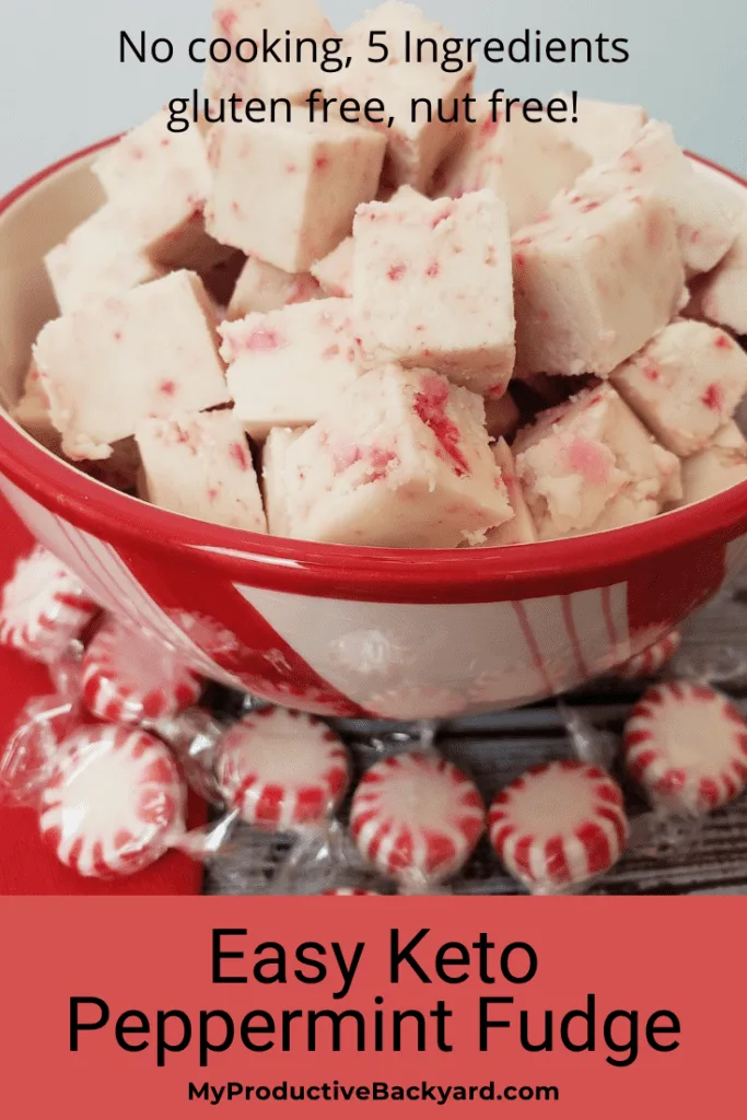 Easy Keto Peppermint Fudge Pinterest Pin