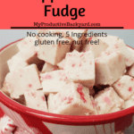 Easy Keto Peppermint Fudge Pinterest Pin