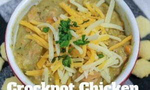 Image for Chicken Broccoli Soup in a Crockpot