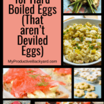 Recipes for Hard Boiled Eggs (That aren’t Deviled Eggs) pinterest pin