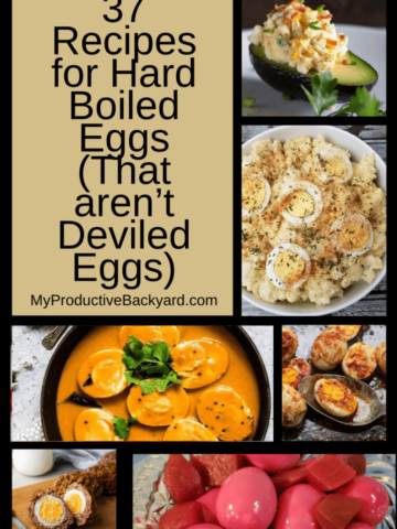 Recipes for Hard Boiled Eggs (That aren’t Deviled Eggs) pinterest pin