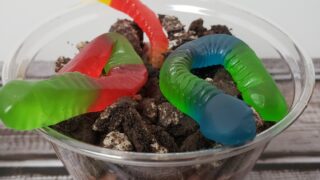 Dirt and Worms Recipe for Earth Day