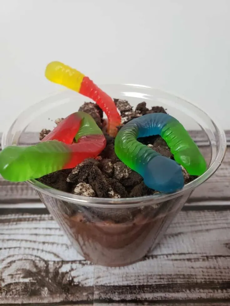 Dirt and Worms Recipe for Earth Day