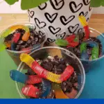 Dirt and Worms Recipe for Earth Day Pinterest pin