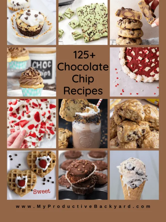 125 Chocolate Chip Recipes