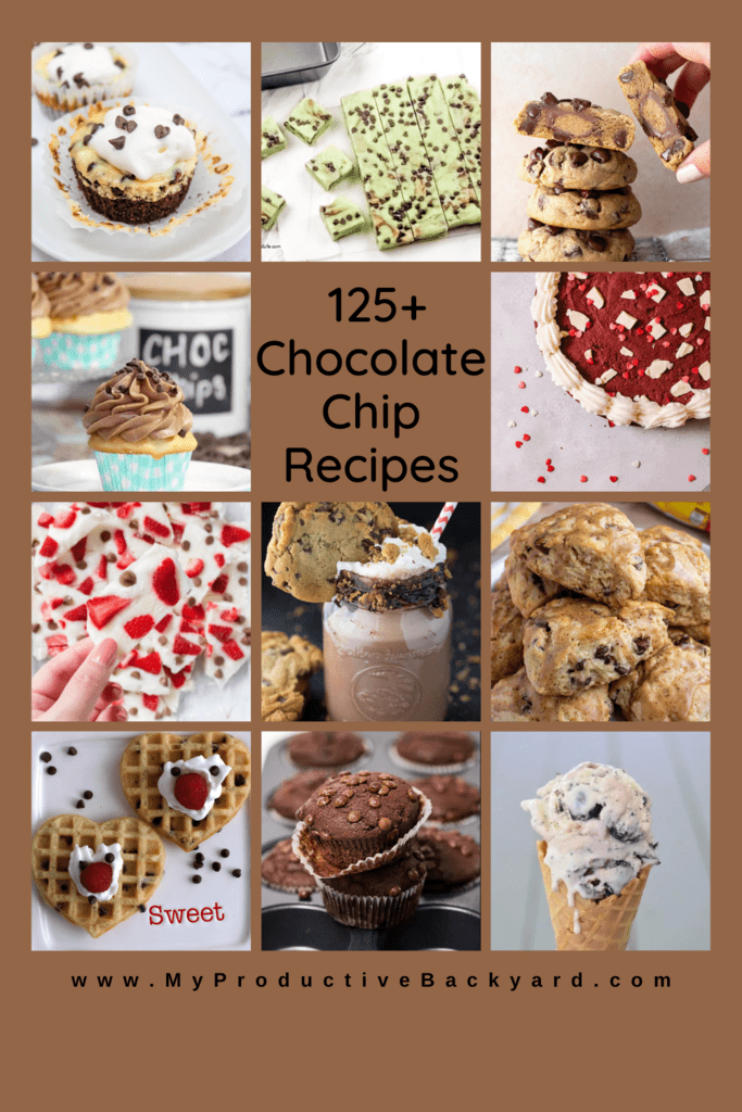 125 Chocolate Chip Recipes Pinterest pin