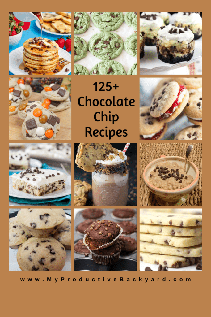 125 Chocolate Chip Recipes - My Productive Backyard