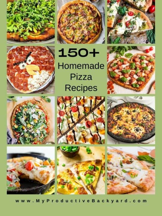150+ Homemade Pizza Recipes