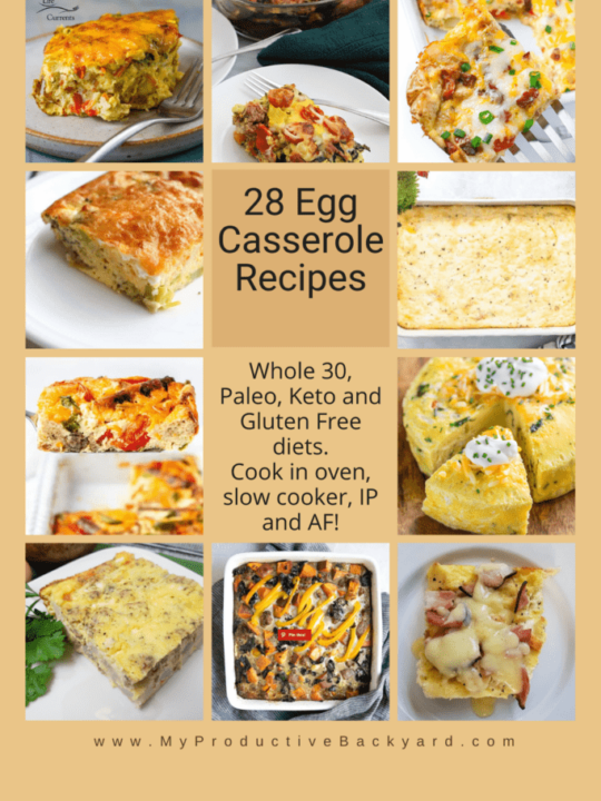 25+ Egg Casserole Recipes